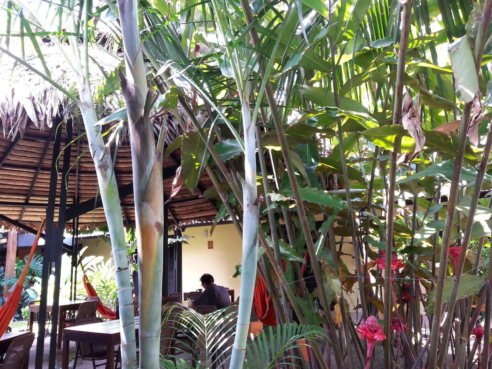 Hotel Amazon Bed And Breakfast Leticia Kültér fotó
